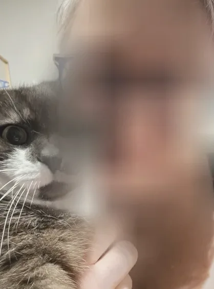 Jasmin, 40